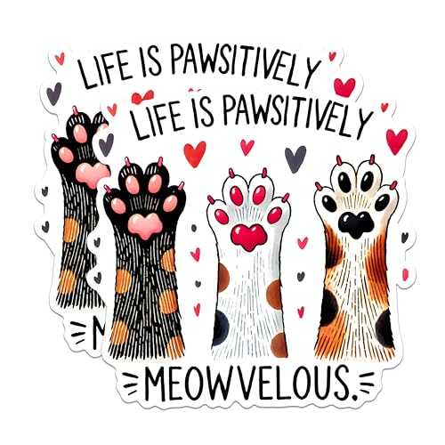 (2 Pack) Life is Pawsitively Meowvelous Cat Paws Magnets - Cute Cat Lovers Magnets - Cat Paw Print Magnets for Fridge Decor- 5" On Longest Side - for Fridges, Toolboxes, Cars - Made in USA - MAG2797