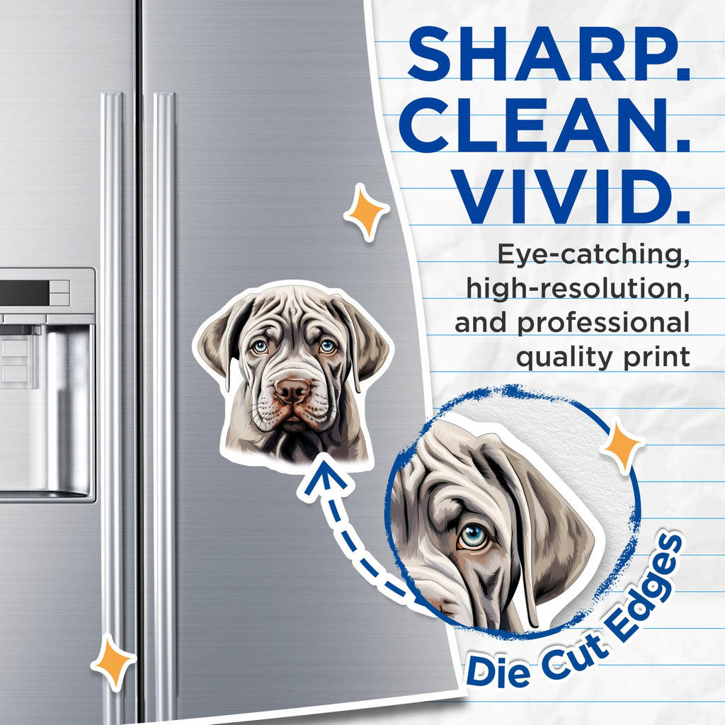 (2 Pack) Mastiff Puppy Magnets - Blue Eyed Dog Art - Wrinkled Canine Decor - 5 Inches On Longest Side - Thick Durable Magnet - Made in USA - MAG23819