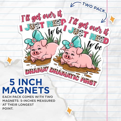 (2 Pack) 5" On Longest Side Magnet - Sticks to Smooth Flat Surfaces - Made in USA - MAG9719