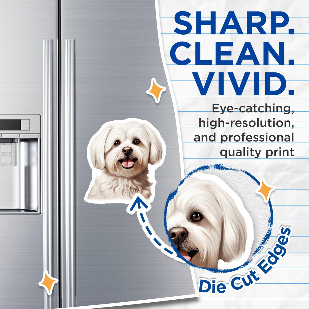 (2 Pack) Maltese Dog Magnets - Cute White Fluffy Dog - Pet Lover Fridge Locker Decoration - 5 Inches On Longest Side - Thick Durable Magnet - Made in USA - MAG29223