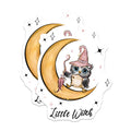 (2 Pack) Adorable Witchy Owl Magnets - Celestial Moon Decor - Kawaii Fantasy Fridge Locker - 5 Inches On Longest Side - Thick Durable Magnet - Made in USA - MAG38214
