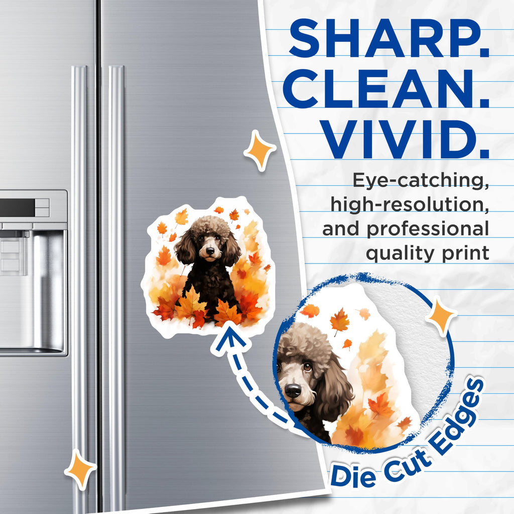 (2 Pack) Poodle Dog Magnets - Autumn Leaves Decor - Fall Pet Lover Kitchen Accessory - 5 Inches On Longest Side - Thick Durable Magnet - Made in USA - MAG28390