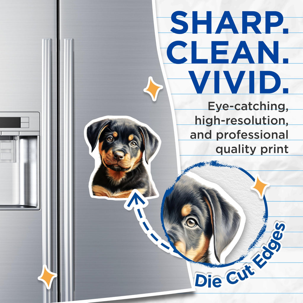 (2 Pack) Rottweiler Puppy Magnets - Cute Dog Art Refrigerator - Animal Lover Kitchen Accent - 5 Inches On Longest Side - Thick Durable Magnet - Made in USA - MAG29393