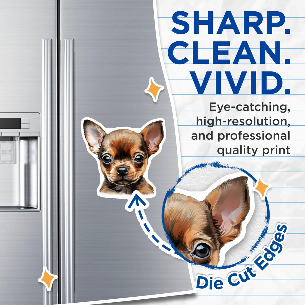 (2 Pack) Chihuahua Puppy Magnets - Cute Dog Lover - Fridge Decor Pet Owner - 5 Inches On Longest Side - Thick Durable Magnet - Made in USA - MAG28847
