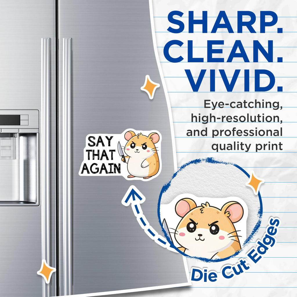 (2 Pack) Angry Hamster Sayings Magnets - Funny Animal Quote Magnets - Adorable Hamster with Attitude Magnets - 5" On Longest Side - for Cars, Refrigerators, Toolboxes, Lockers - Made in USA BMCS3312