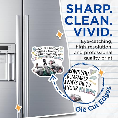 (2 Pack) Koala Remote Humor Magnets Magnets - Motivational Quotes - 5" On Longest Side - Made in USA - Sticks to Refrigerators & Metal Surfaces - MAG8760