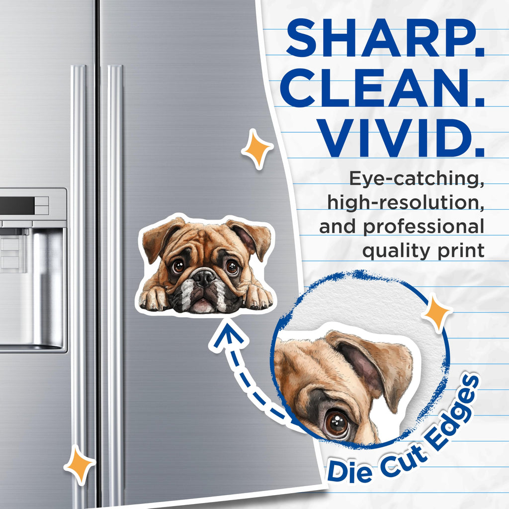 (2 Pack) Bulldog Face Magnets - Cute Dog Pet Magnet - Refrigerator Decor - 5" On Longest Side - Premium Magnet - for Cars, Refrigerators, Toolboxes, Lockers - Made in USA - MAG15151