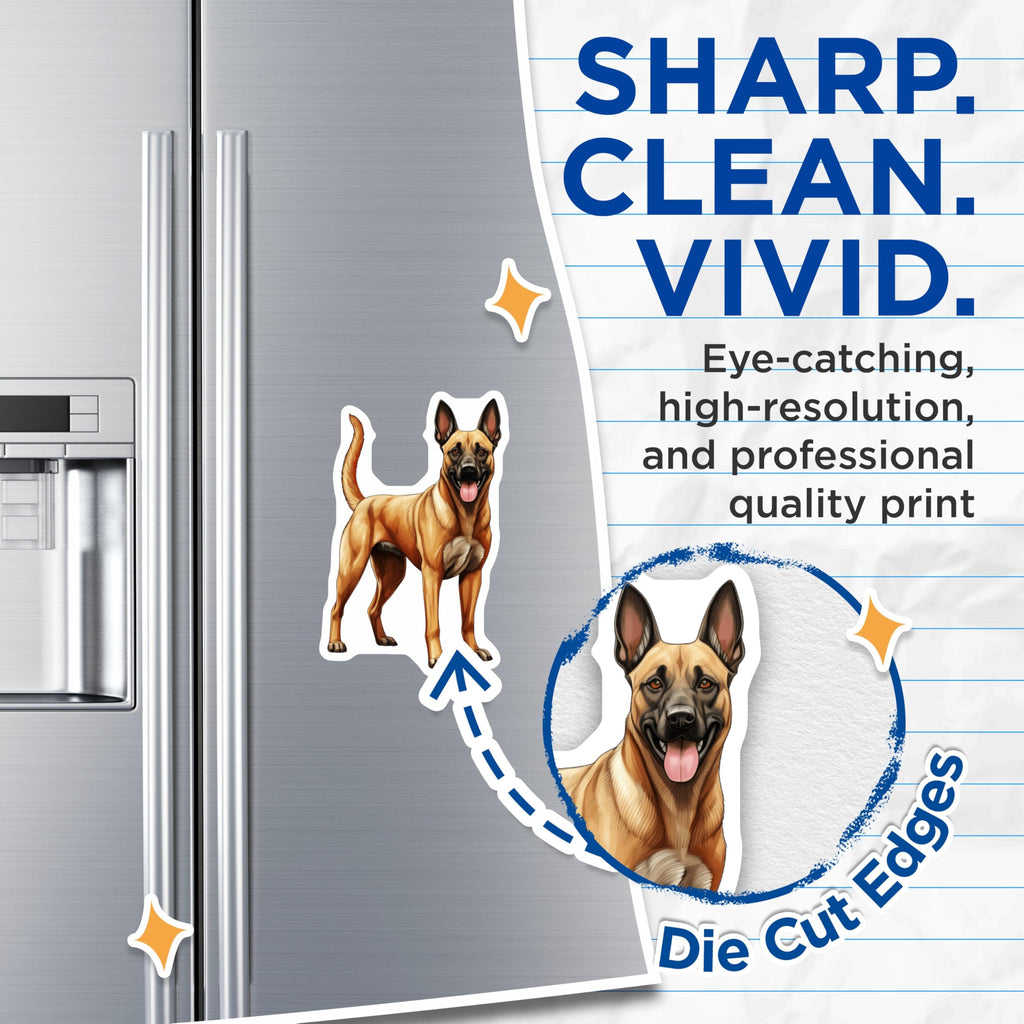 (2 Pack) Belgian Malinois Magnets - Malinois Dog Lover Decor - K9 Working Dog Breed Art - 5 Inches On Longest Side - Thick Durable Magnet - Made in USA - MAG27387