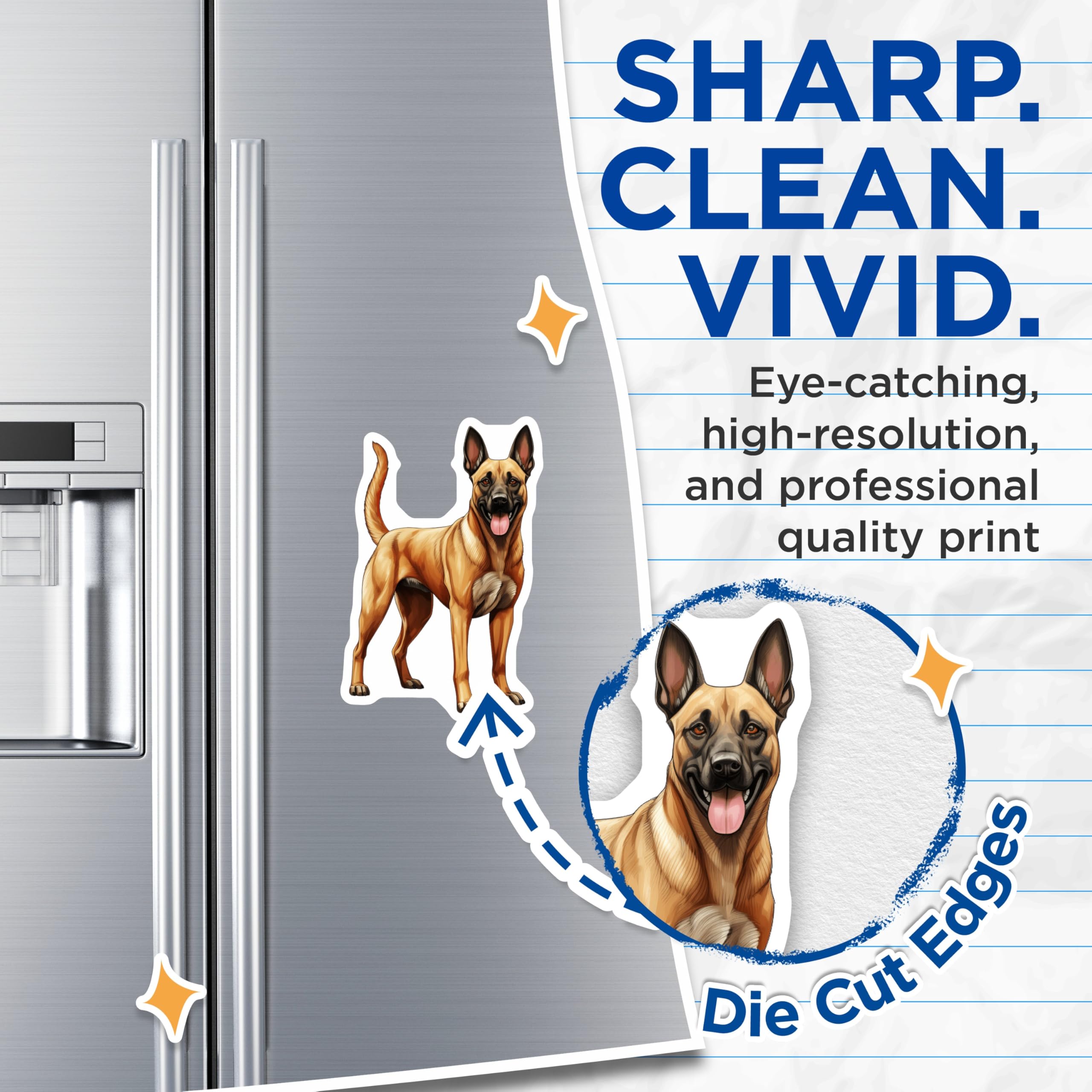 (2 Pack) Belgian Malinois Magnets - Malinois Dog Lover Decor - K9 Working Dog Breed Art - 5 Inches On Longest Side - Thick Durable Magnet - Made in USA - MAG27387