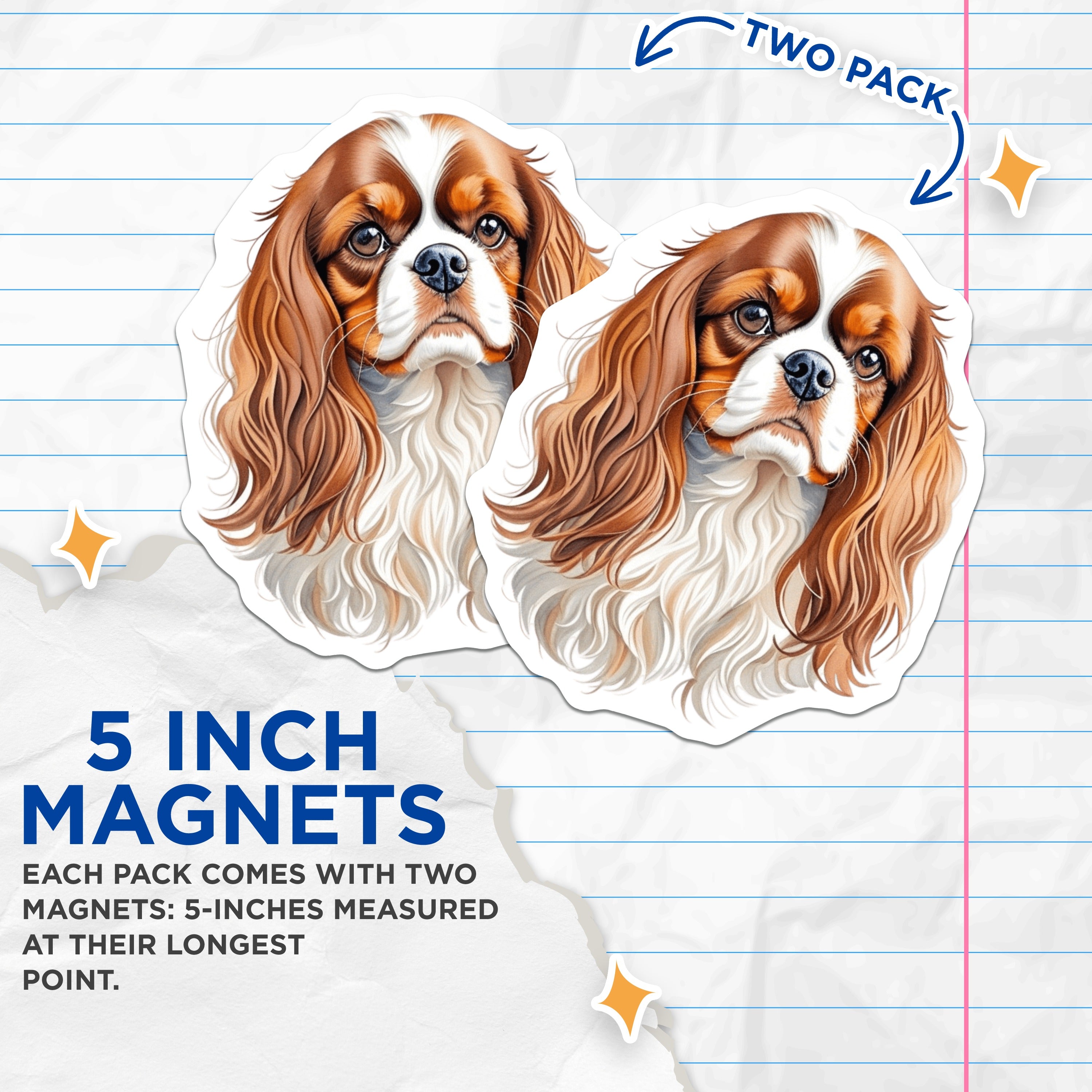 (2 Pack) Cavalier King Charles Spaniel Magnets - Dog Lover Fridge Decor - Pet Owner Kitchen Accent - 5 Inches On Longest Side - Thick Durable Magnet - Made in USA - MAG38924