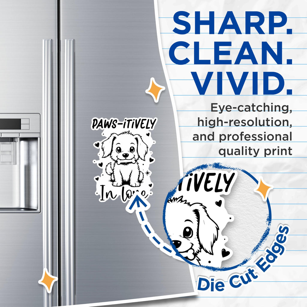 (2 Pack) Paws-itively in Love Dog Magnets - Cute Puppy Magnets - Adorable Pet Lover Decor Magnets- 5" On Longest Side - for Fridges, Toolboxes, Cars - Made in USA - MAG2861