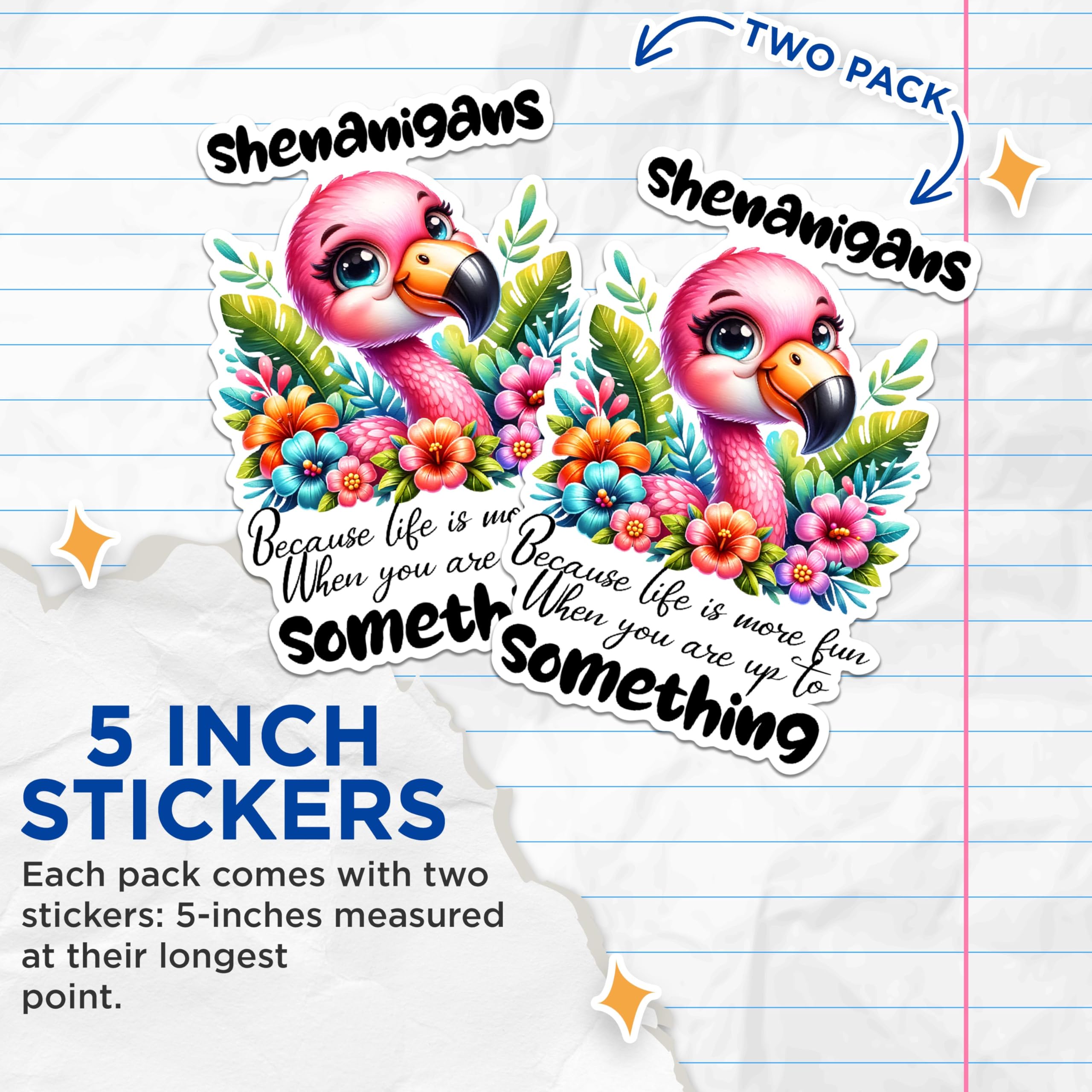 (2 Pack) Sheigans Stickers - Fun Life Quotes Stickers - Flamingo Art Stickers - 5" On Longest Side - Sticks to Any Smooth Flat Surface - Made in USA - BMCS2938