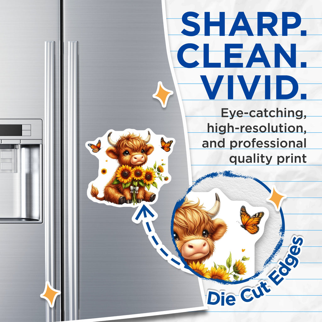 (2 Pack) Cute Highland Cow Magnets - Sunflower Farm Animal Decor - Kawaii Fridge Locker Refrigerator - 5 Inches On Longest Side - Thick Durable Magnet - Made in USA - MAG39145