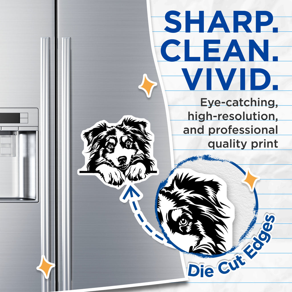 (2 Pack) Border Collie Dog Magnets - Australian Shepherd Pet Lover Decor - Dog Mom Fridge Accent - Animal Fan Refrigerator Art - 5" - Thick Durable Magnet - Made in USA - MAG39723
