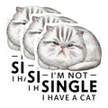 (3 Pack) Cat Lover Decals - Funny Pet Decal - I Have A Cat Decal - 3 Inches On Longest Side - Easy Peel & Apply - Made in USA - 3MCS2239