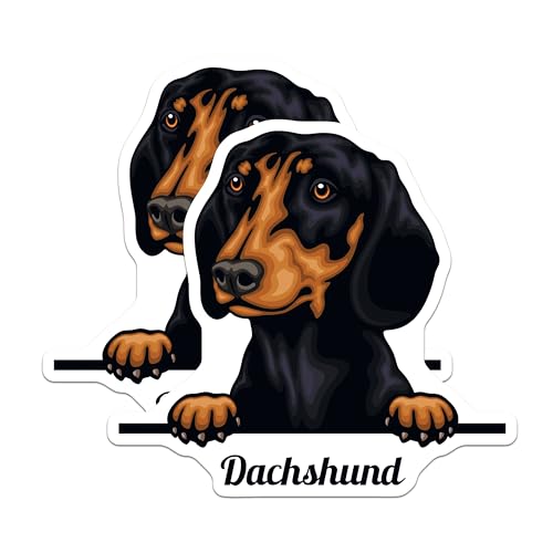 (2 Pack) Dachshund Dog Magnets - Cute Dog Art - Refrigerator Magnets - Pet Lover - Animal Magnets - Kitchen - 5" On Longest Side - for Cars, Fridges, Toolboxes - Made in USA - MAG4227