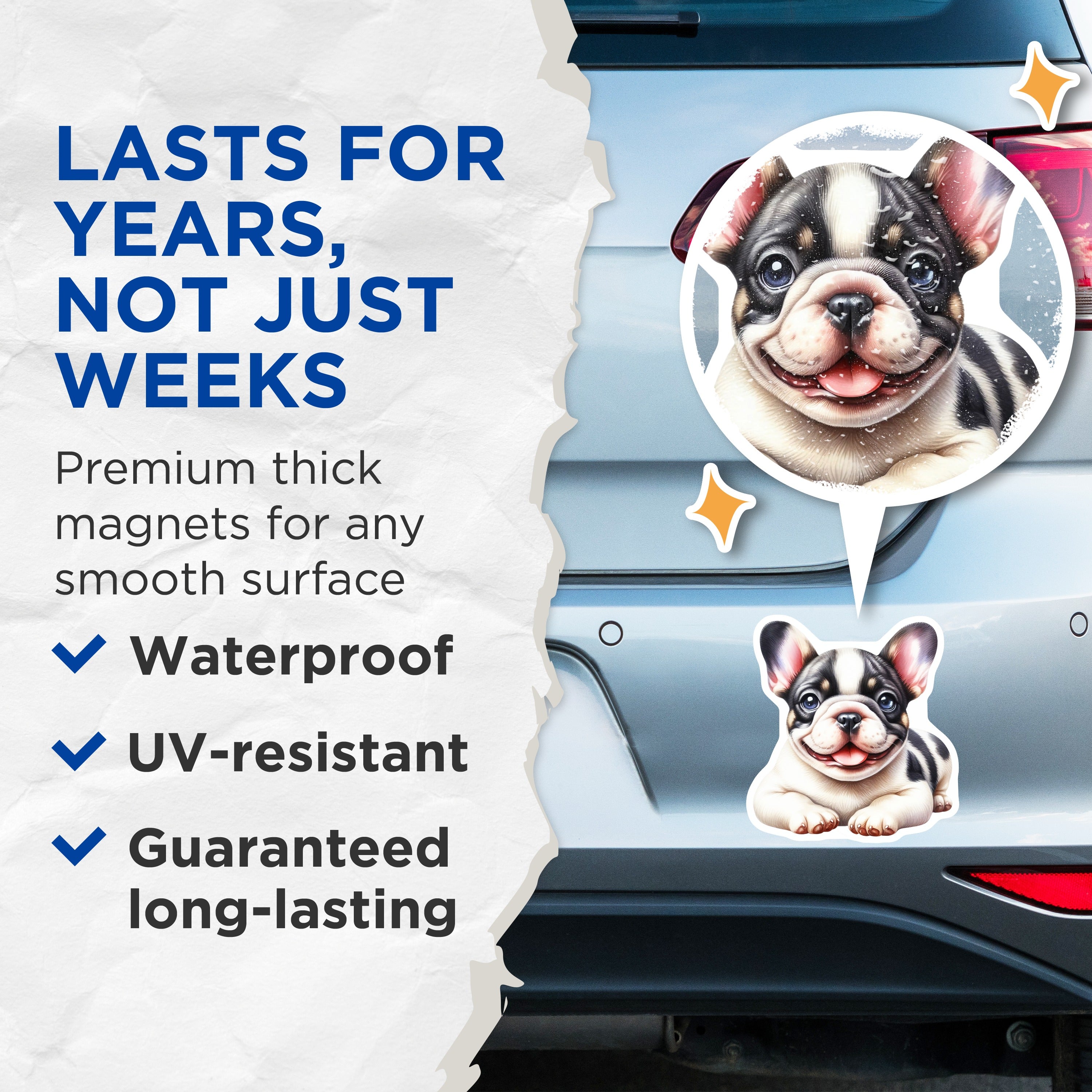 (2 Pack) French Bulldog Puppy Magnets - Cute Frenchie Dog Lover - Pet Parent Refrigerator Decor - 5 Inches On Longest Side - Thick Durable Magnet - Made in USA - MAG37433