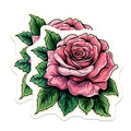 (2 Pack) Pink Rose Magnets - Floral Fridge Decor - Botanical Kitchen Art - 5 Inches On Longest Side - Thick Durable Magnet - Made in USA - MAG37844