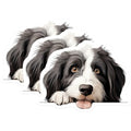 (3 Pack) Border Collie Decals - Dog Lover - Laptop Decals - 3 Inches On Longest Side - Easy Peel & Apply - Made in USA - 3MCS8619