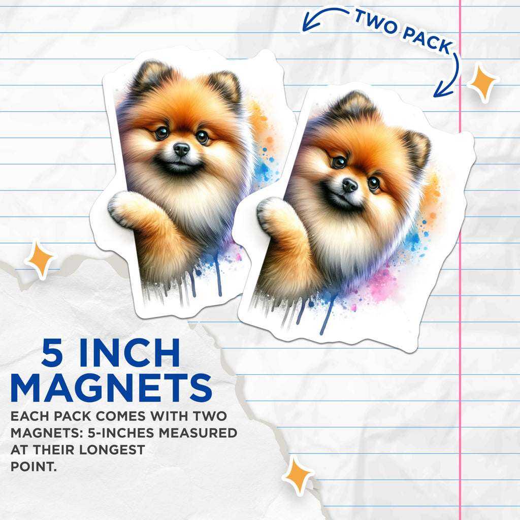 (2 Pack) Pomeranian Magnets - Cute Dog Art - Watercolor Dog Lovers - 5" On Longest Side - Premium Magnet - for Cars, Refrigerators, Toolboxes, Lockers - Made in USA - MAG14095