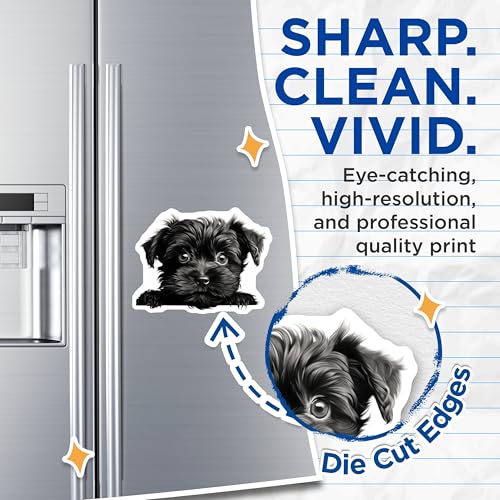 (2 Pack) Cute Animal Artwork Magnet - Dog Lover Decor - Pet Enthusiast Gift - Kitchen Decorations - 5" On Longest Side - Sticks to Smooth Flat Surfaces - Made in USA - MAG9815