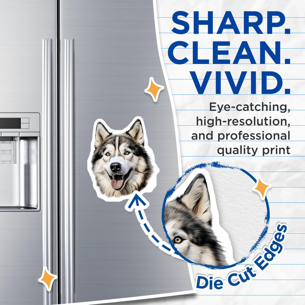 (2 Pack) Husky Dog Magnets - Realistic Canine Portrait - Pet Lover Animal Art - Refrigerator Decor - 5 Inches On Longest Side - Thick Durable Magnet - Made in USA - MAG28152
