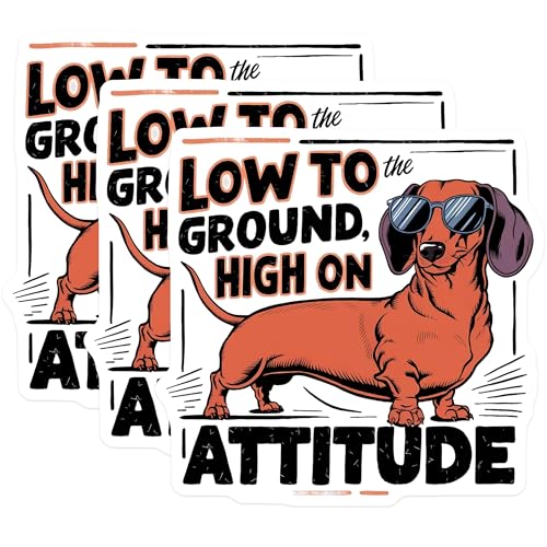(3 Pack) Dachshund Decals - Funny Dog Stickers - Low to The Ground High On Attitude - 3 Inches On Longest Side - Easy Peel & Apply - Made in USA - 3MCS7294