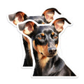 (2 Pack) Doberman Pinscher Magnets - Watercolor Dog Art - Pet Lover Home Decor - 5 Inches On Longest Side - Thick Durable Magnet - Made in USA - MAG25170