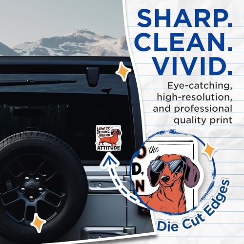 (2 Pack) Dachshund Attitude Stickers - Low to The Ground - High on - 5" On Longest Side - Sticks to Smooth Flat Surfaces - Made in USA - BMCS8531 - Dog Lovers - Pet Owner Gift