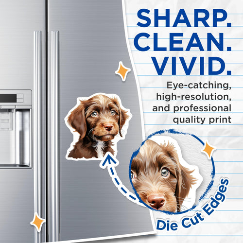 (2 Pack) Adorable Puppy Magnets - Dog Lover Fridge Decor - Pet Parent Refrigerator Magnets - New Puppy Owner Accessory - 5 Inches On Longest Side - Thick Durable Magnet - Made in USA - MAG30137