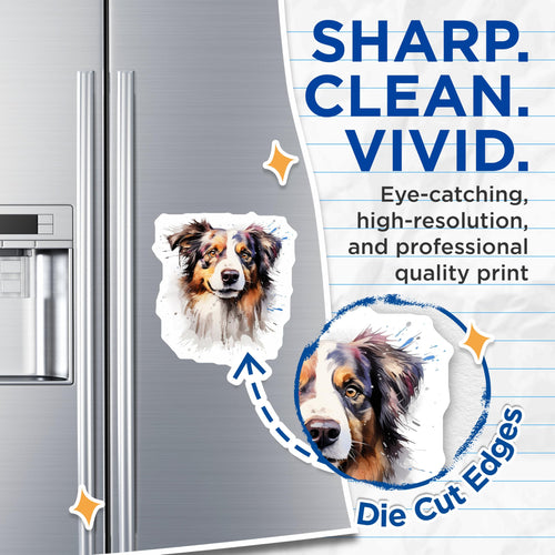 (2 Pack) Australian Shepherd Dog Magnets - Artistic Watercolor Canine Art - Pet Owner Fridge Locker Decoration - 5 Inches On Longest Side - Thick Durable Magnet - Made in USA - MAG24216
