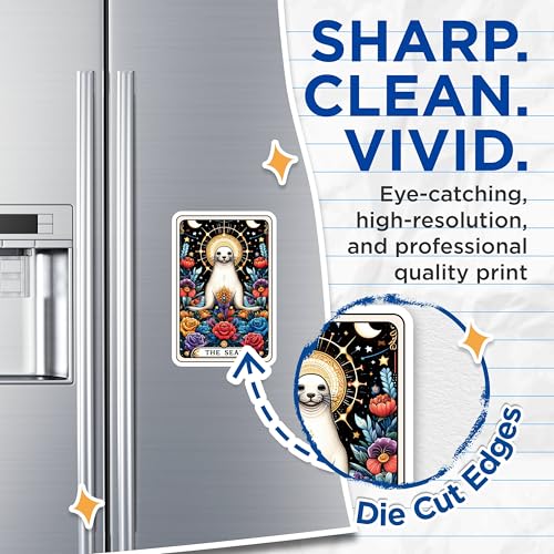 (2 Pack) Seal Magnets - Cute Seal Illustration - Seal Animal Art Magnets for Fridge - Animal Lover Decal Magnets - Home - 5" On Longest Side - for Cars, Fridges, Toolboxes - Made in USA - MAG4487