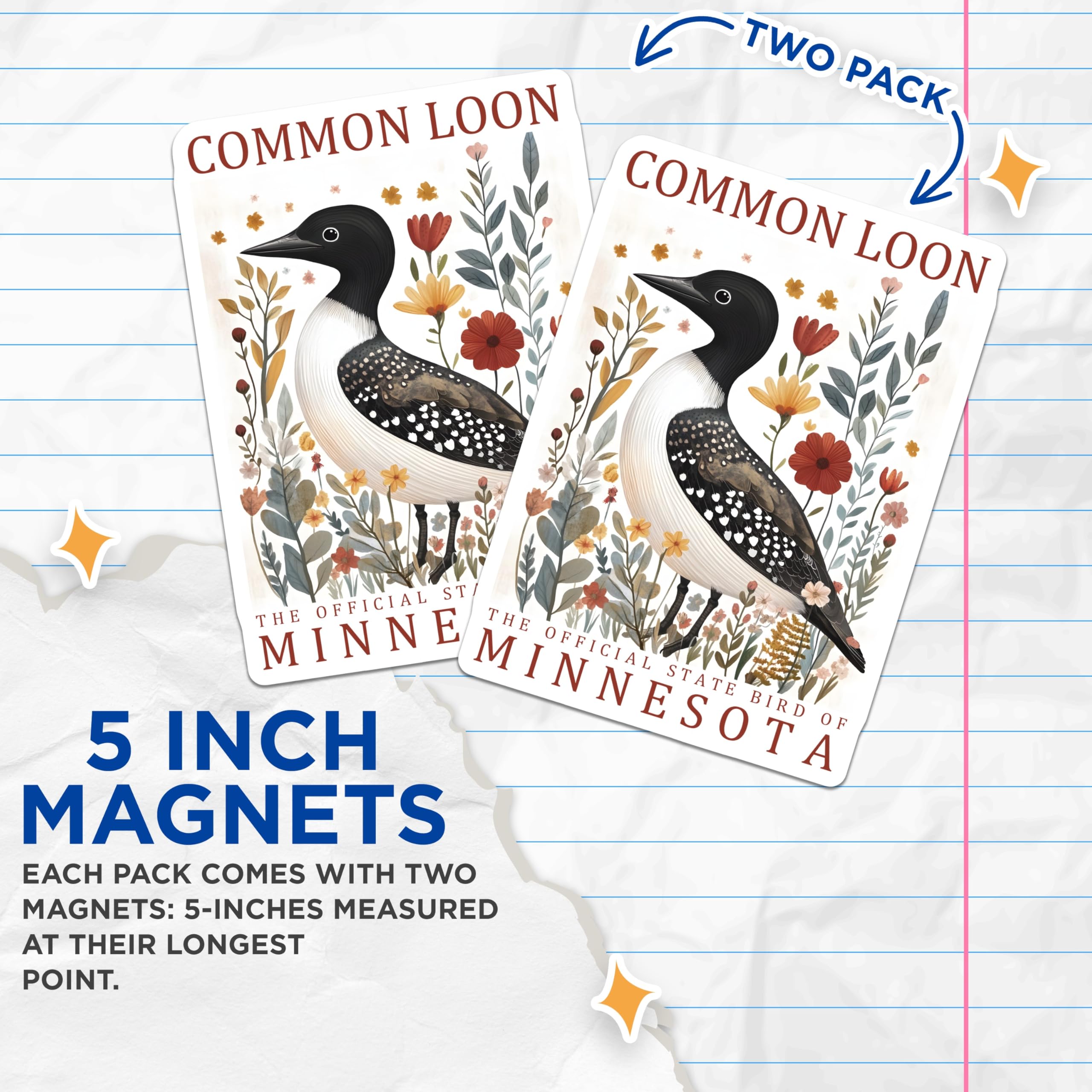 (2 Pack) Common Loon Magnets - Minnesota State Bird Artwork - Northwoods Wildlife Refrigerator Decor - 5 Inches On Longest Side - Thick Durable Magnet - Made in USA - MAG19078