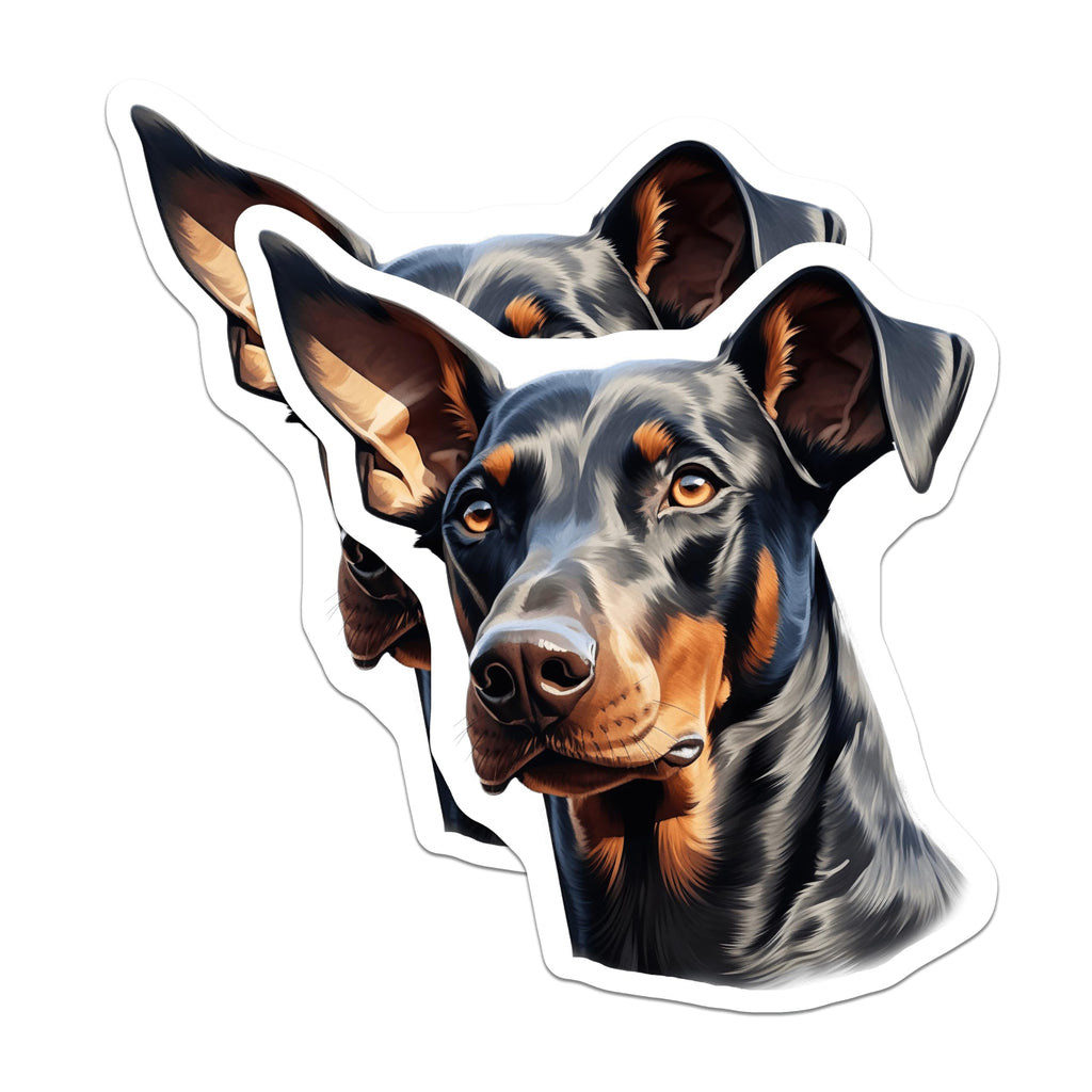(2 Pack) Doberman Pinscher Dog Magnets - Doberman Breed Specific Pet Lover Accent - Animal Art Fridge Decor - 5 Inches On Longest Side - Thick Durable Magnet - Made in USA - MAG27293