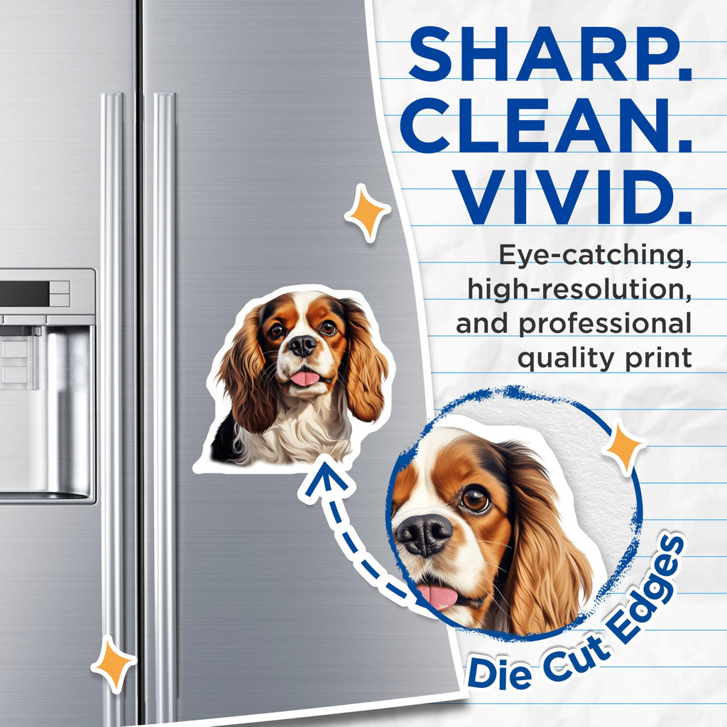(2 Pack) Cavalier King Charles Spaniel Magnets - Tri Color Dog Breed - Cute Pet Lover Refrigerator Magnets - 5 Inches On Longest Side - Thick Durable Magnet - Made in USA - MAG29153