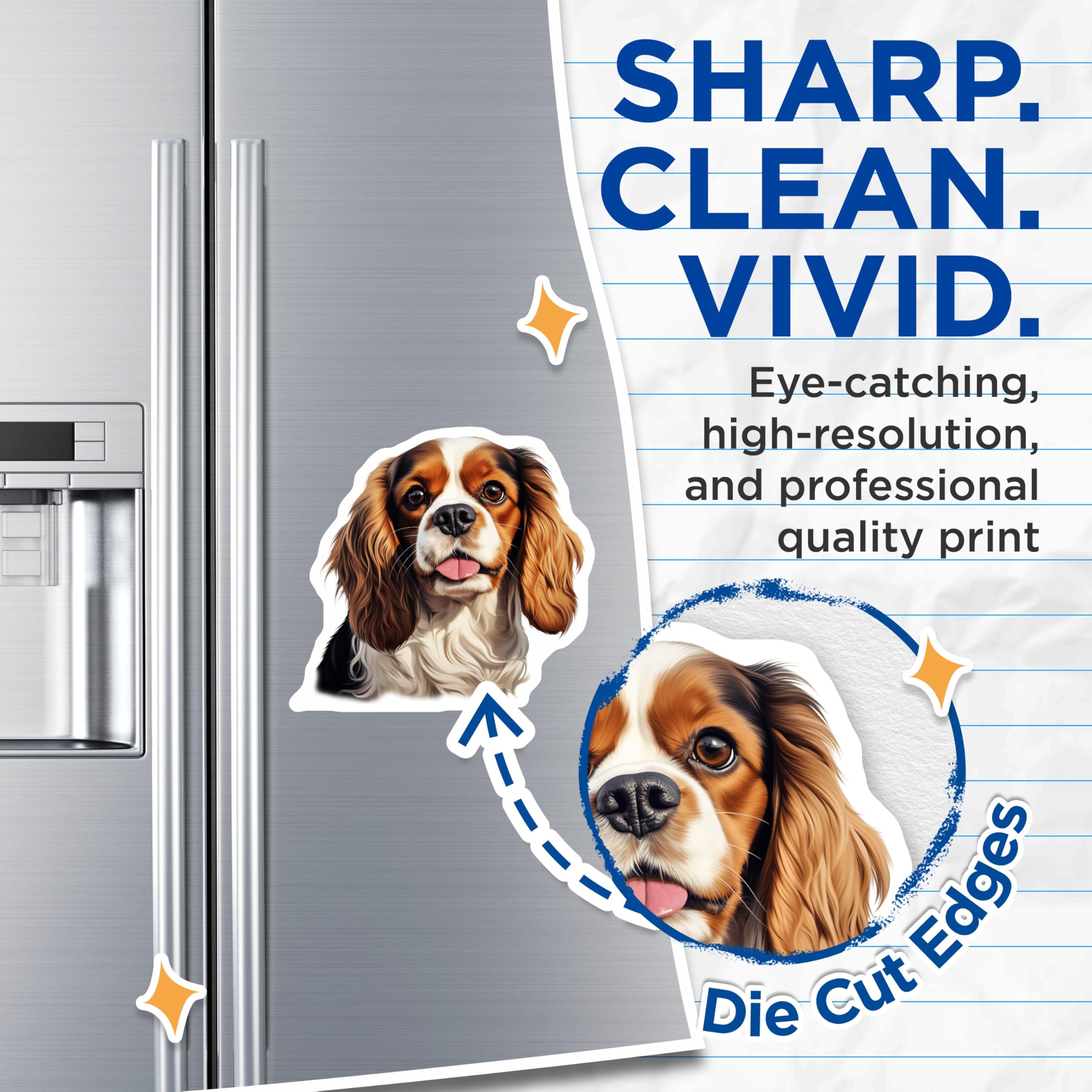 (2 Pack) Cavalier King Charles Spaniel Magnets - Tri Color Dog Breed - Cute Pet Lover Refrigerator Magnets - 5 Inches On Longest Side - Thick Durable Magnet - Made in USA - MAG29153