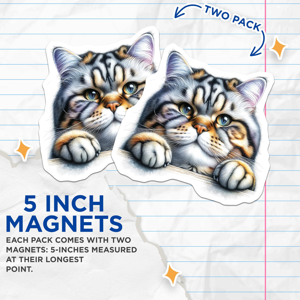 (2 Pack) Cat Magnets - Funny Cat Portrait - Fridge Magnets - 5" On Longest Side - Premium Magnet - for Cars, Refrigerators, Toolboxes, Lockers - Made in USA - MAG15115
