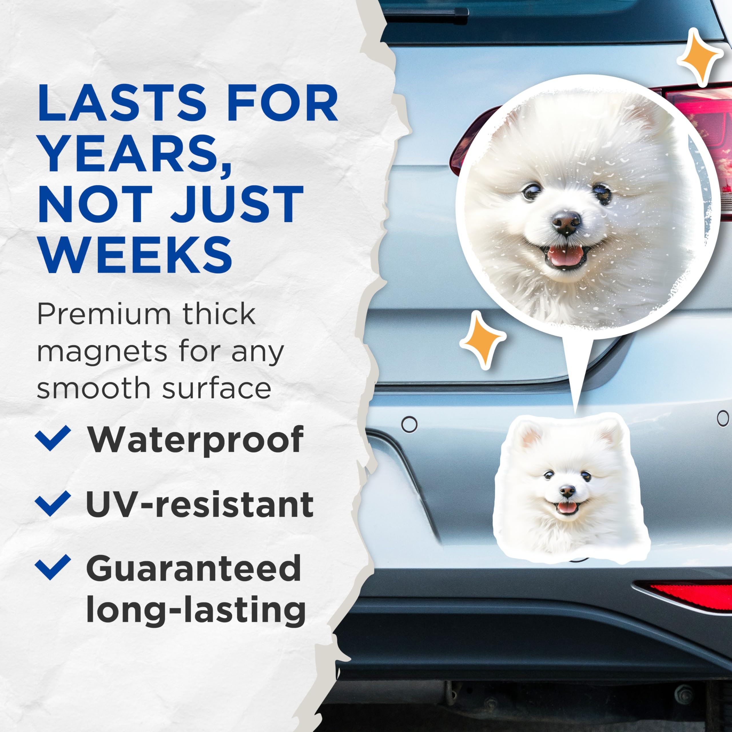 (2 Pack) White Fluffy Dog Magnets - Cute Puppy Refrigerator Decor - Pomeranian Pet Lover Locker Accessory - 5 Inches On Longest Side - Thick Durable Magnet - Made in USA - MAG30659