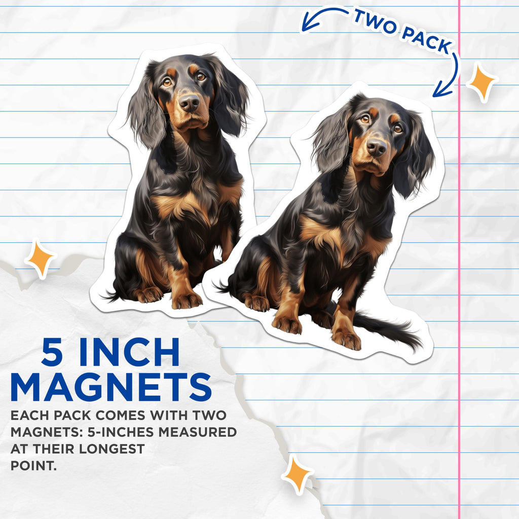 (2 Pack) Black Tan Dog Magnets - Long Haired Coonhound Gordon Setter - Pet Owner Refrigerator Decor - 5 Inches On Longest Side - Thick Durable Magnet - Made in USA - MAG26981