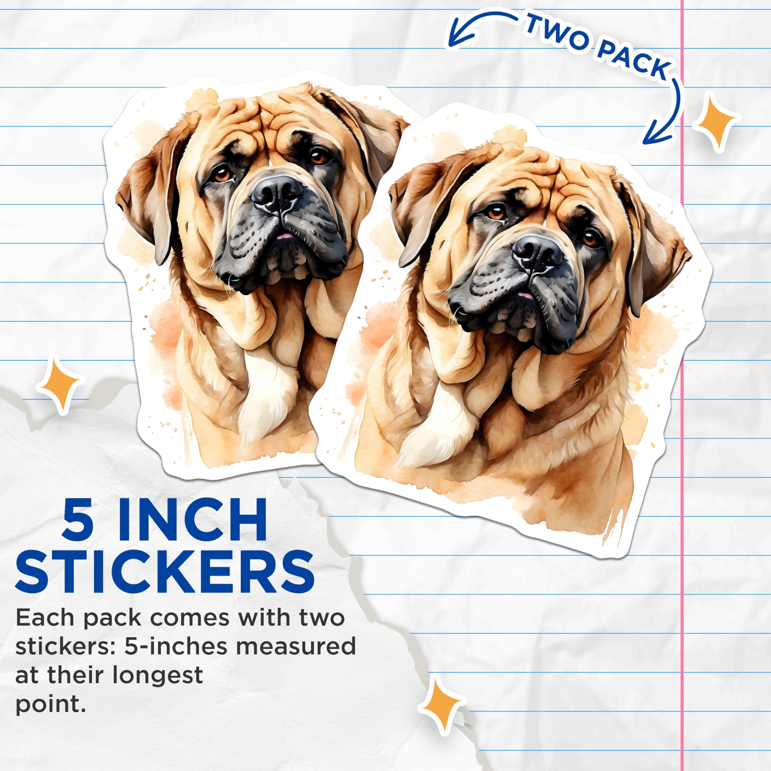 (2 Pack) Bullmastiff Stickers - Dog Breed Stickers - Cute Animal Stickers - 5" On Longest Side - Sticks to Smooth Flat Surfaces - Made in USA - BMCS14543
