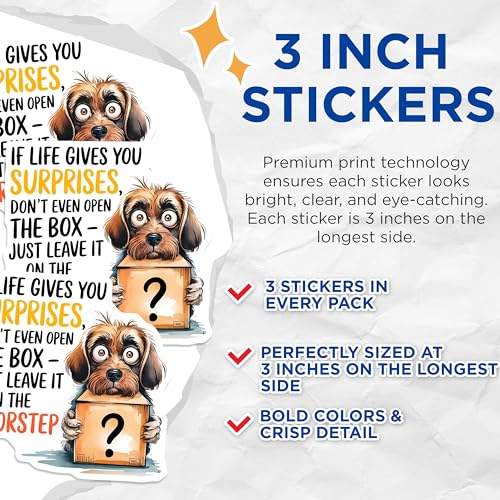 (3 Pack) Funny Dog Decals - Surprise Box - Sarcastic Saying Decals - 3 Inches On Longest Side - Easy Peel & Apply - Made in USA - 3MCS7514