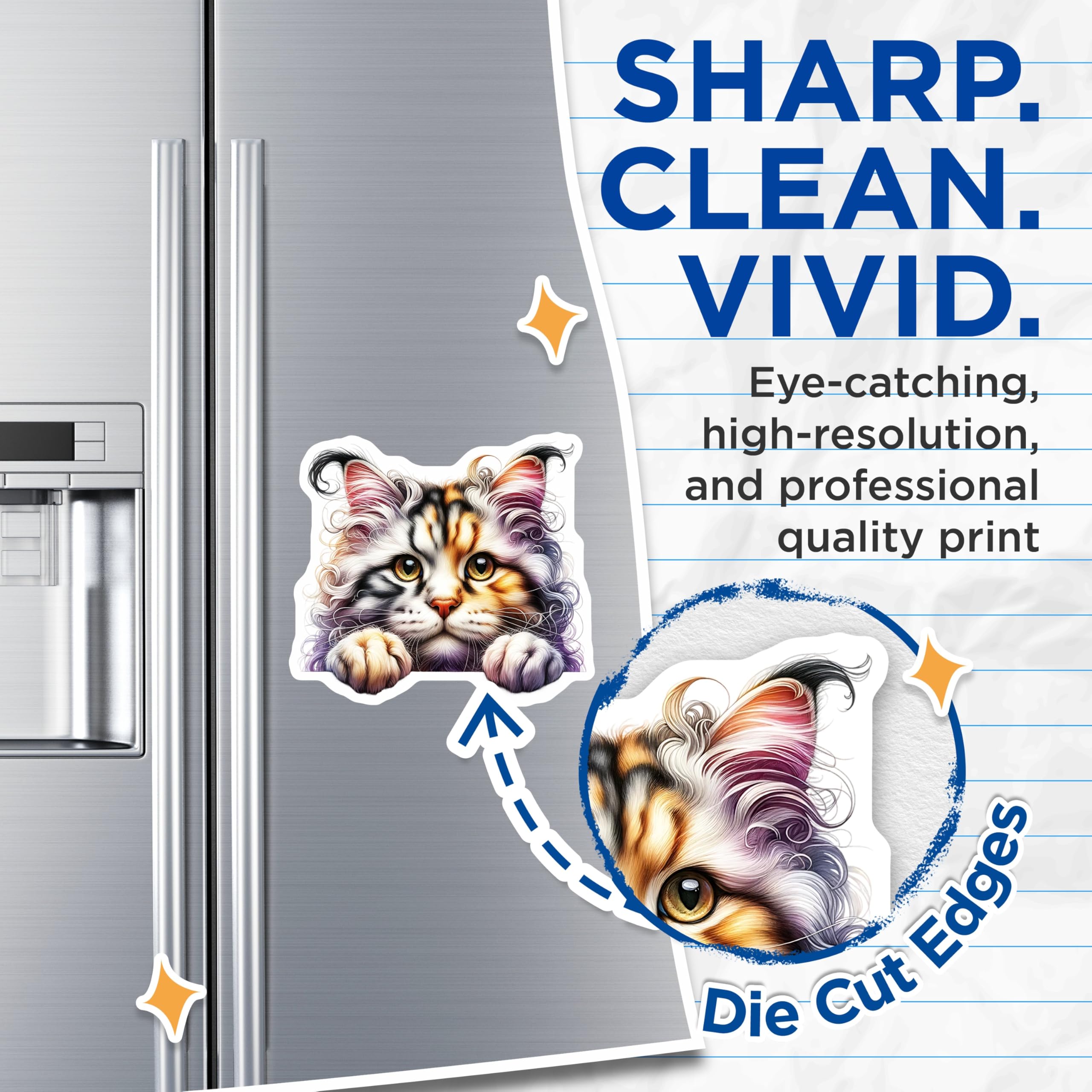 (2 Pack) Fluffy Cat Magnets - Cute Kitten Decor - Fridge Magnets Set - 5" On Longest Side - Premium Magnet - for Cars, Refrigerators, Toolboxes, Lockers - Made in USA - MAG14054