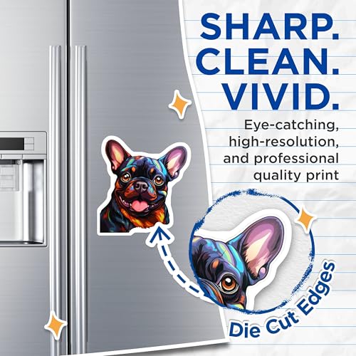 (2 Pack) French Bulldog Magnets - Colorful Dog Magnet - Cartoon Pet Fridge Magnet - 5" On Longest Side - for Cars, Fridges, Toolboxes - Made in USA - MAG3948