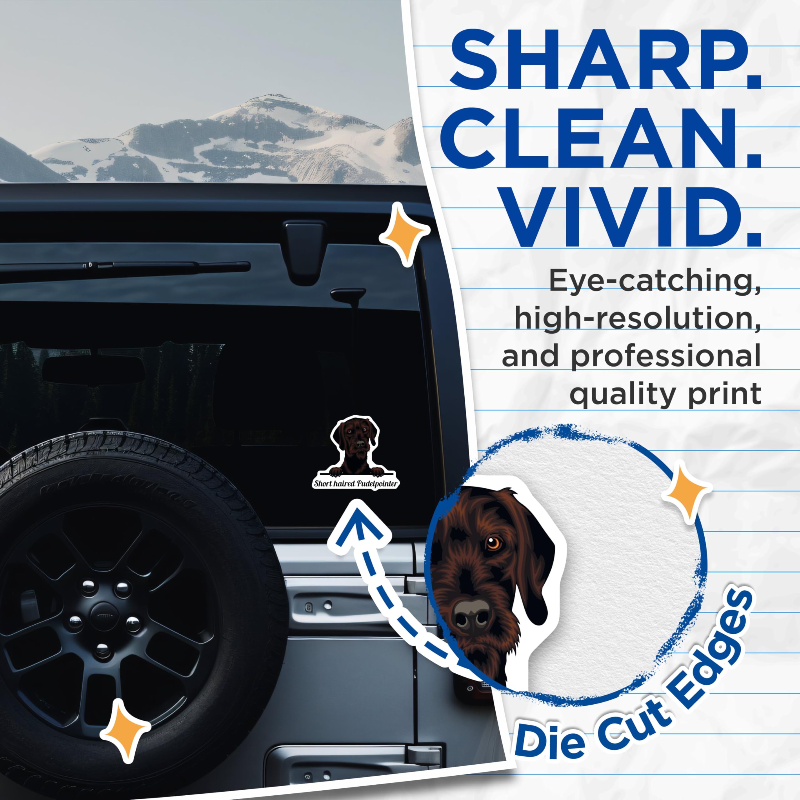 (2 Pack) Short Haired Pudelpointer Stickers - Cute Dog Decal - Animal Lover Stickers - 5" On Longest Side - Sticks to Smooth Flat Surfaces - Made in USA - BMCS4228