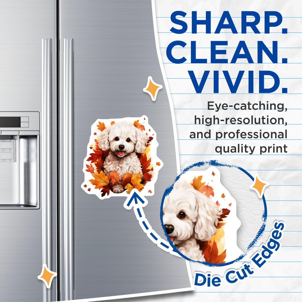 (2 Pack) White Fluffy Dog Magnets - Autumn Leaves Puppy Decor - Bichon Frise Fridge Locker Accent - 5 Inches On Longest Side - Thick Durable Magnet - Made in USA - MAG24480