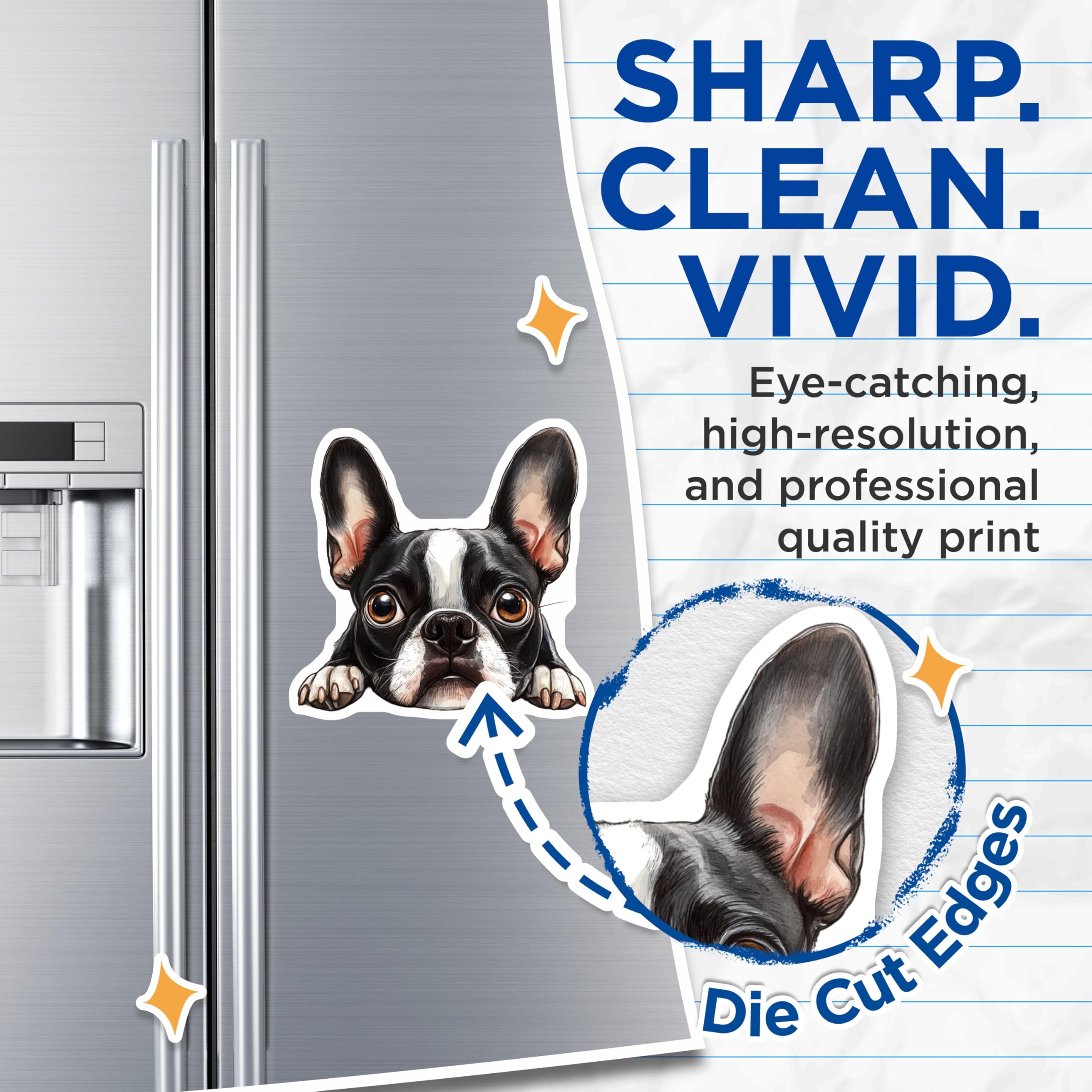 (2 Pack) Boston Terrier Magnets - Cute Dog Fridge Magnets - Pet Lover Decor - 5" On Longest Side - Premium Magnet - for Cars, Refrigerators, Toolboxes, Lockers - Made in USA - MAG16211