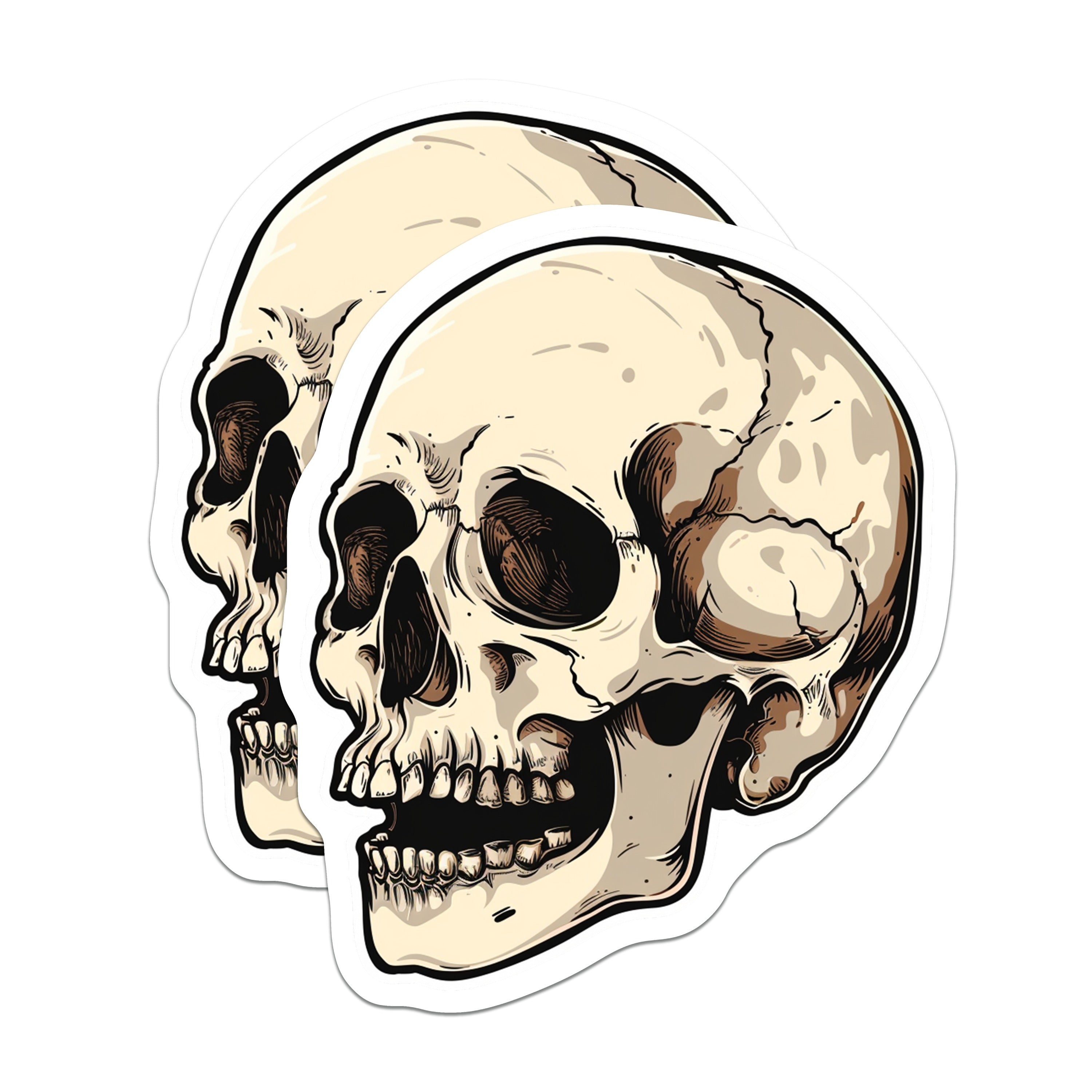 (2 Pack) Gothic Skull Magnets - Macabre Horror Decor - Tattoo Style Human Skeleton Head - Alternative Art Magnet - 5 Inches On Longest Side - Thick Durable Magnet - Made in USA - MAG36118
