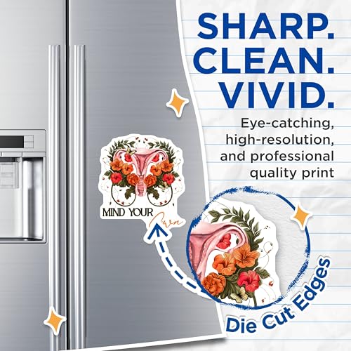 (2 Pack) Mind Your Own Magnets Magnets - Feminist Quote - Empowering Magnet - 5" On Longest Side - Made in USA - Sticks to Refrigerators & Metal Surfaces - MAG9028