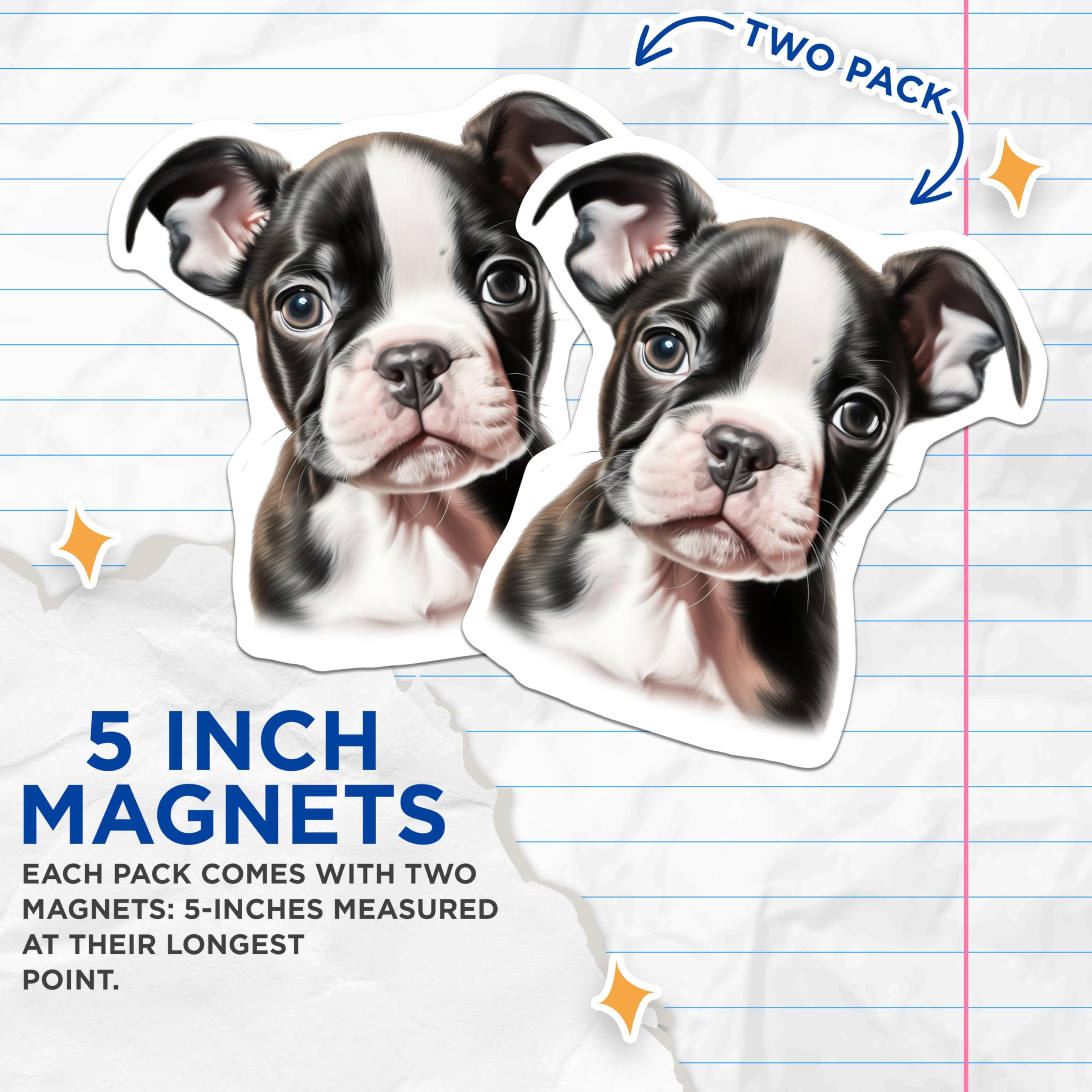 (2 Pack) Charming Boston Terrier Puppy Magnets - Sweet Dog Breed Refrigerator Decoration for Pet Lovers - Cute Canine Art - 5 Inches On Longest Side - Thick Durable Magnet - Made in USA - MAG24591