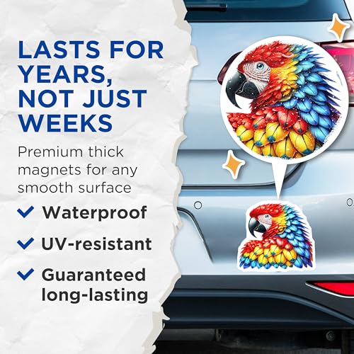 (2 Pack) Colorful Parrot Magnets - Tropical Bird Fridge ation - Vibrant Animal Art - 5" On Longest Side - for Cars, Fridges, Toolboxes - Made in USA - MAG4521